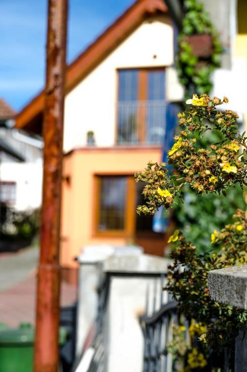 Relax Penzion U Adama Dolná Tižina Exteriör bild
